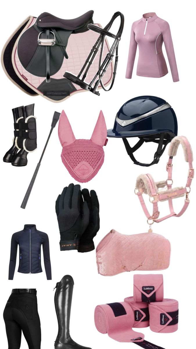 Essential Tack & Gear